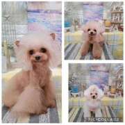 ヒメ日記 2026/01/10 11:03 投稿 麻宮杏子 白夜