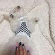 ヒメ日記 2026/02/08 09:49 投稿 麻宮杏子 白夜