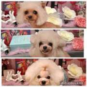 ヒメ日記 2026/02/20 20:11 投稿 麻宮杏子 白夜