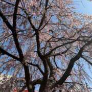 ヒメ日記 2026/03/22 20:40 投稿 麻宮杏子 白夜