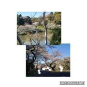 ヒメ日記 2026/04/02 17:08 投稿 麻宮杏子 白夜