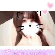 ヒメ日記 2025/11/09 02:42 投稿 ことみ club Ego