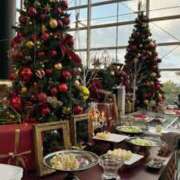 ヒメ日記 2024/12/15 12:22 投稿 新人・萌瑠(める) グランドオペラ福岡