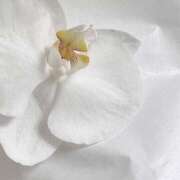 ヒメ日記 2025/03/26 12:37 投稿 新人・萌瑠(める) グランドオペラ福岡