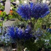 ヒメ日記 2025/06/07 20:55 投稿 新人・萌瑠(める) グランドオペラ福岡