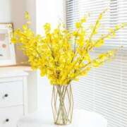 ヒメ日記 2025/06/10 03:31 投稿 新人・萌瑠(める) グランドオペラ福岡