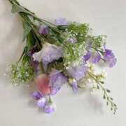 ヒメ日記 2025/06/17 04:31 投稿 新人・萌瑠(める) グランドオペラ福岡