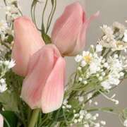 ヒメ日記 2025/06/29 01:55 投稿 新人・萌瑠(める) グランドオペラ福岡