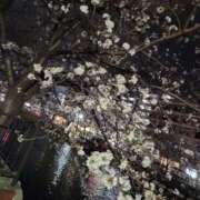 ヒメ日記 2025/03/30 21:24 投稿 ひより 熟女の風俗最終章 本厚木店