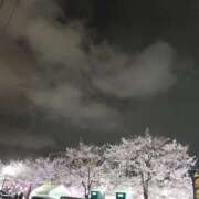 ヒメ日記 2025/04/03 00:35 投稿 ひより 熟女の風俗最終章 本厚木店