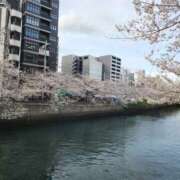 ヒメ日記 2025/04/05 16:44 投稿 ひより 熟女の風俗最終章 本厚木店