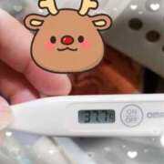 ヒメ日記 2025/12/04 11:02 投稿 ひより 熟女の風俗最終章 本厚木店