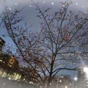 ヒメ日記 2026/03/18 19:11 投稿 ひより 熟女の風俗最終章 本厚木店