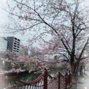 ヒメ日記 2026/03/23 10:11 投稿 ひより 熟女の風俗最終章 本厚木店