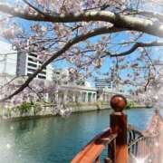 ヒメ日記 2026/03/24 11:41 投稿 ひより 熟女の風俗最終章 本厚木店