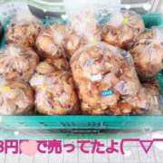 ヒメ日記 2026/03/25 07:21 投稿 ひより 熟女の風俗最終章 本厚木店