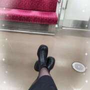 ヒメ日記 2026/03/31 10:02 投稿 ひより 熟女の風俗最終章 本厚木店