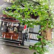 ヒメ日記 2026/09/16 18:21 投稿 ひより 熟女の風俗最終章 本厚木店