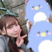 ヒメ日記 2025/04/05 12:23 投稿 みつき E+アイドルスクール