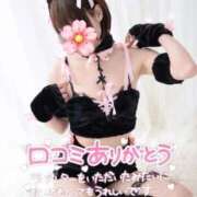 ヒメ日記 2024/12/30 08:17 投稿 めい 三つ乱本館