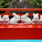 ヒメ日記 2025/07/23 21:57 投稿 めい 三つ乱本館