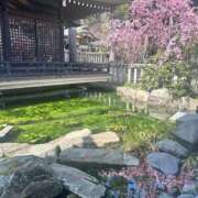 ヒメ日記 2026/08/29 08:57 投稿 めい 三つ乱本館