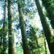 ヒメ日記 2025/02/16 10:30 投稿 森村 熟女の風俗最終章 横浜本店