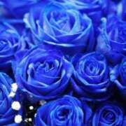 ヒメ日記 2025/03/23 07:19 投稿 森村 熟女の風俗最終章 横浜本店