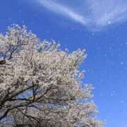 ヒメ日記 2025/04/03 08:14 投稿 森村 熟女の風俗最終章 横浜本店