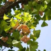 ヒメ日記 2025/09/21 07:14 投稿 森村 熟女の風俗最終章 横浜本店