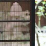 ヒメ日記 2025/09/28 07:34 投稿 森村 熟女の風俗最終章 横浜本店