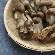 ヒメ日記 2025/09/29 10:42 投稿 森村 熟女の風俗最終章 横浜本店