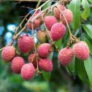 ヒメ日記 2025/10/02 07:14 投稿 森村 熟女の風俗最終章 横浜本店