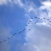 ヒメ日記 2025/10/09 07:54 投稿 森村 熟女の風俗最終章 横浜本店