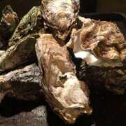 ヒメ日記 2025/10/11 08:04 投稿 森村 熟女の風俗最終章 横浜本店