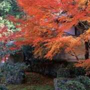 ヒメ日記 2025/11/02 08:36 投稿 森村 熟女の風俗最終章 横浜本店