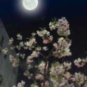 ヒメ日記 2025/11/05 09:04 投稿 森村 熟女の風俗最終章 横浜本店