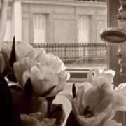 ヒメ日記 2025/11/16 07:14 投稿 森村 熟女の風俗最終章 横浜本店