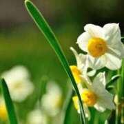 ヒメ日記 2025/11/17 07:14 投稿 森村 熟女の風俗最終章 横浜本店