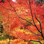 ヒメ日記 2025/11/27 07:19 投稿 森村 熟女の風俗最終章 横浜本店