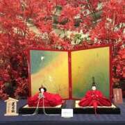 ヒメ日記 2025/11/29 07:14 投稿 森村 熟女の風俗最終章 横浜本店