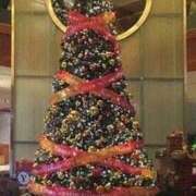 ヒメ日記 2025/12/08 07:14 投稿 森村 熟女の風俗最終章 横浜本店