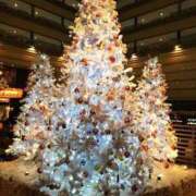 ヒメ日記 2025/12/11 07:14 投稿 森村 熟女の風俗最終章 横浜本店