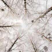 ヒメ日記 2025/12/12 07:19 投稿 森村 熟女の風俗最終章 横浜本店