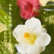 ヒメ日記 2025/12/31 07:04 投稿 森村 熟女の風俗最終章 横浜本店