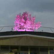 ヒメ日記 2026/03/18 07:01 投稿 森村 熟女の風俗最終章 横浜本店