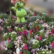 ヒメ日記 2026/03/20 07:45 投稿 森村 熟女の風俗最終章 横浜本店