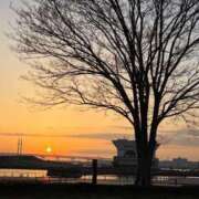 ヒメ日記 2026/03/27 07:24 投稿 森村 熟女の風俗最終章 横浜本店