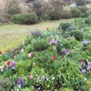 ヒメ日記 2026/03/28 07:05 投稿 森村 熟女の風俗最終章 横浜本店