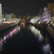 ヒメ日記 2026/03/31 06:14 投稿 森村 熟女の風俗最終章 横浜本店